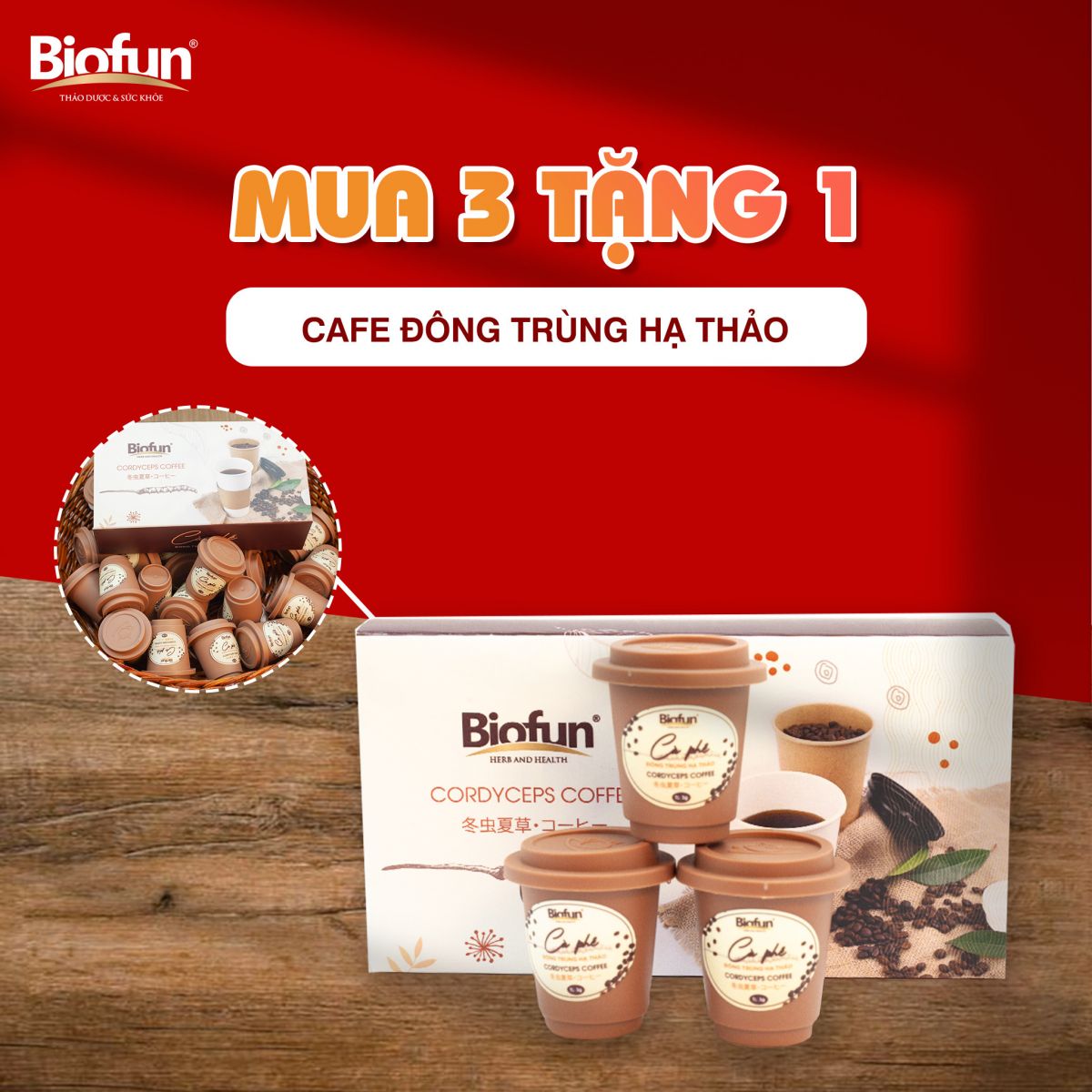 khai trương nhà phân phổi An Bảo Minh