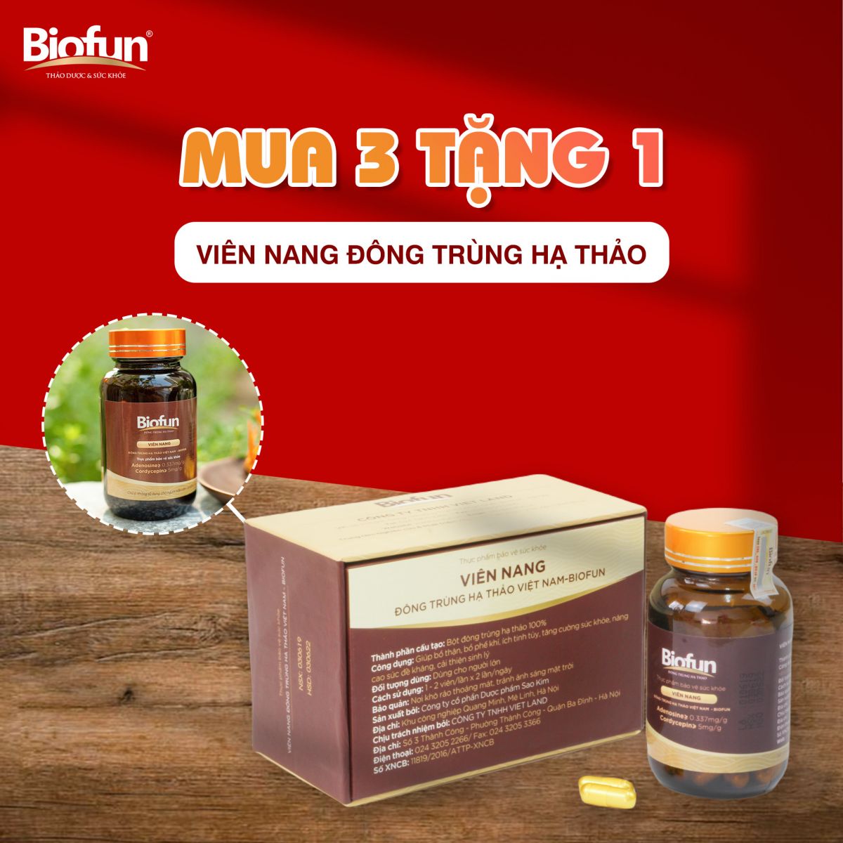 khai trương nhà phân phổi An Bảo Minh
