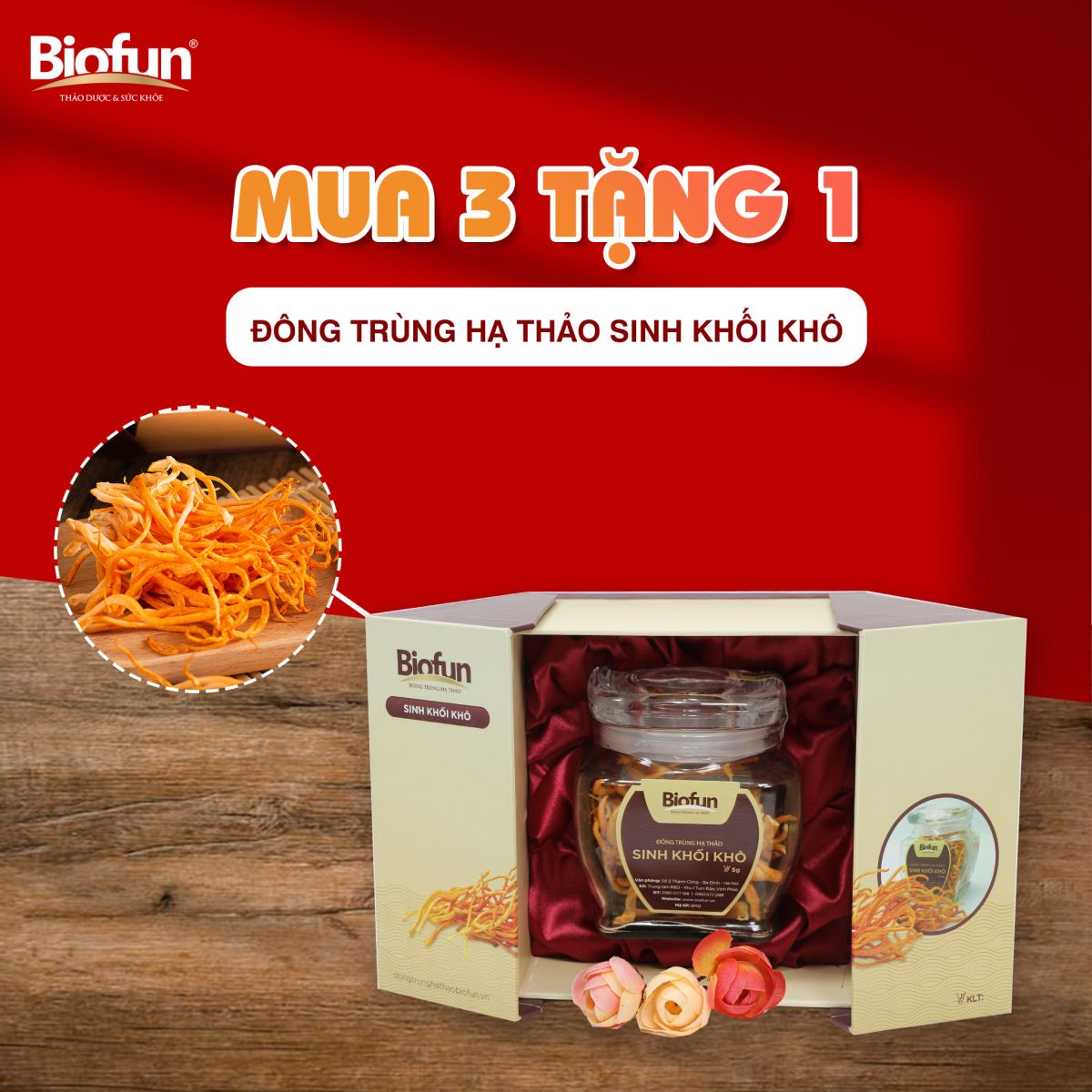 khai trương nhà phân phổi An Bảo Minh