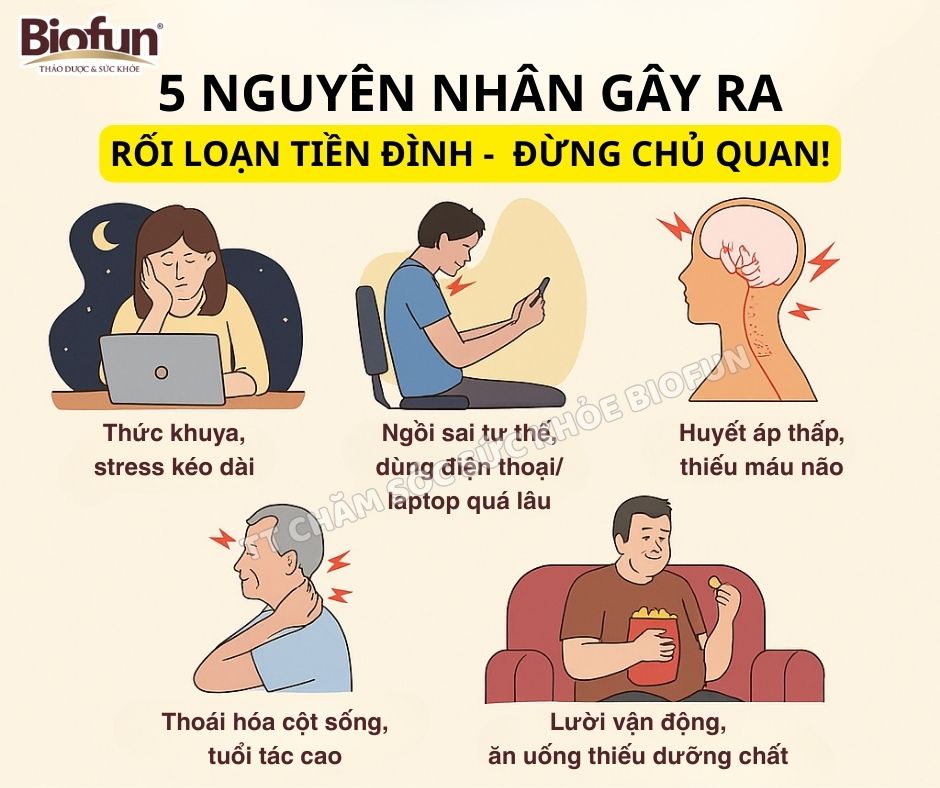 5 nguyên nhân gây ra rối loạn tiền đình