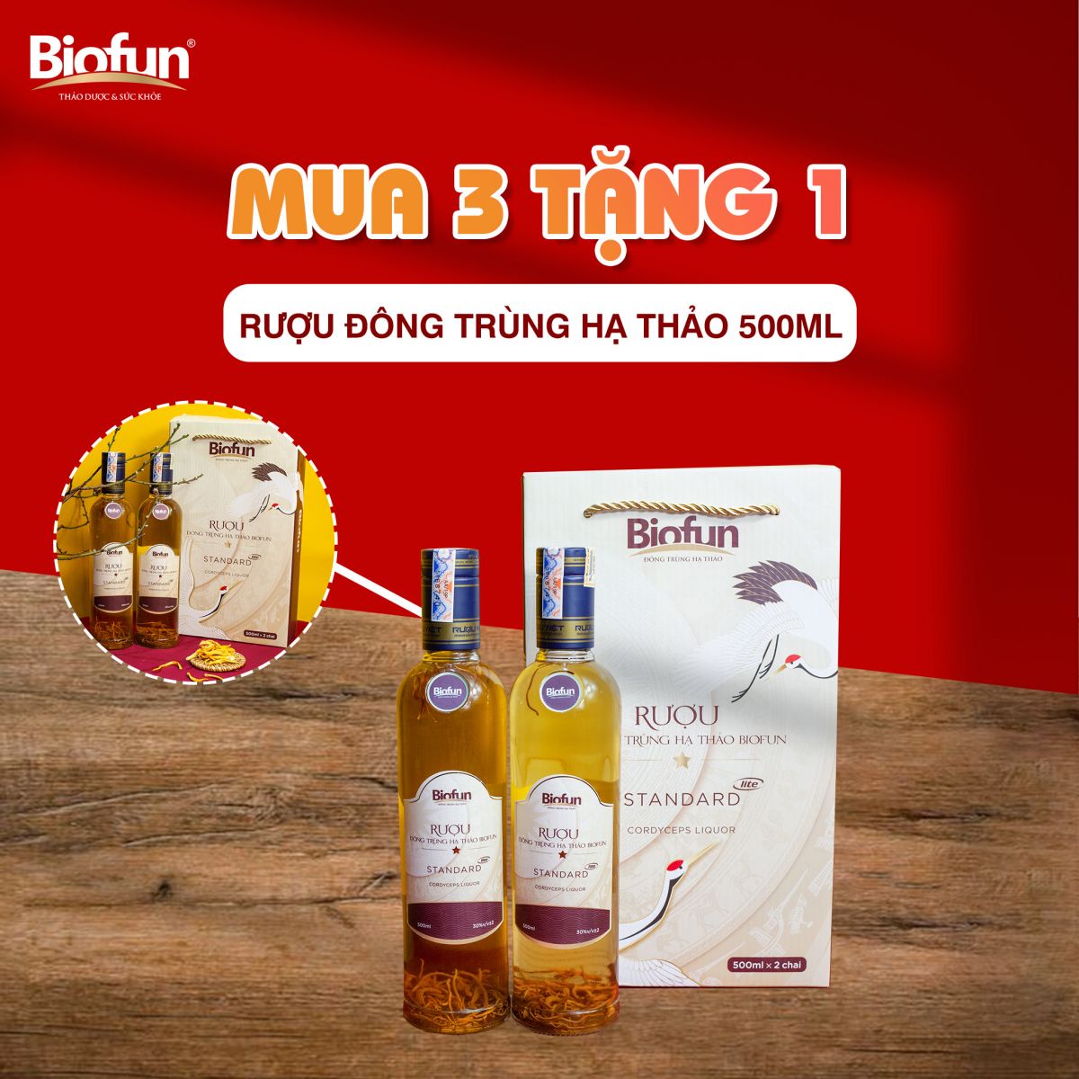 khai trương nhà phân phổi An Bảo Minh