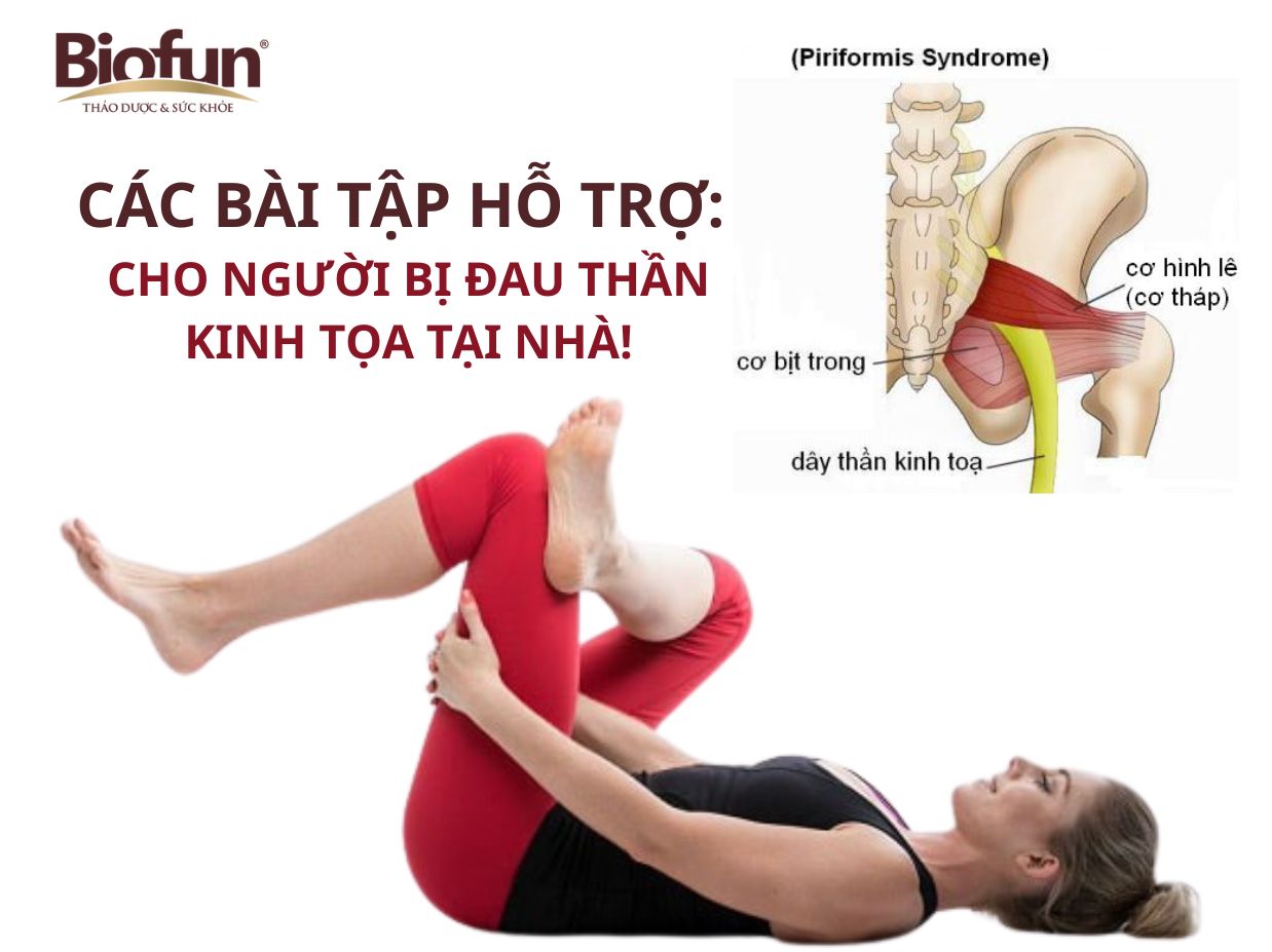 Các bài tập hỗ trợ thêm cho người bị đau thần kinh tọa tại nhà
