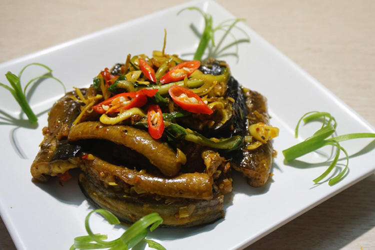 chữa đau dạ dày bằng quả sung