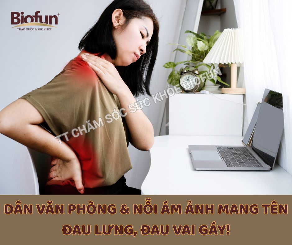 DÂN VĂN PHÒNG & NỖI ÁM ẢNH MANG TÊN ĐAU LƯNG, ĐAU VAI GÁY!
