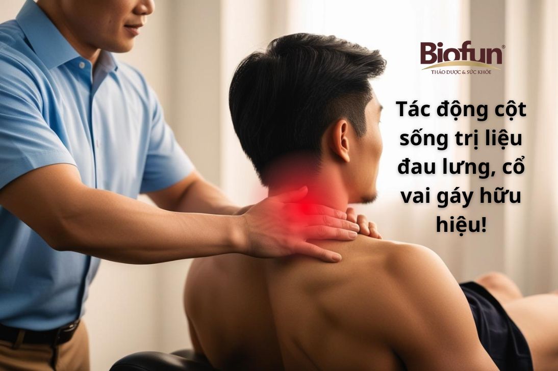 Tác động cột sống trị liệu đau lưng, cổ vai gáy hữu hiệu