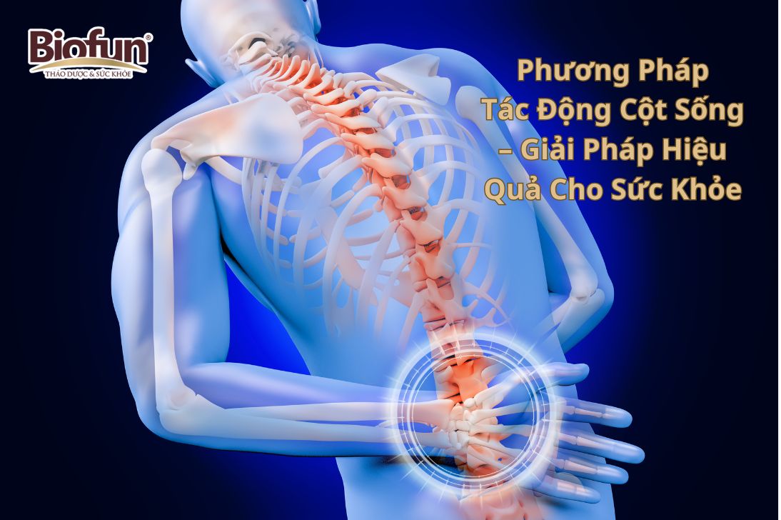 Tác động cột sống điều trị tích cực các bệnh lý đau cổ vai gáy, đau lưng, thoát vị đĩa đệm, đau thần kinh tọa