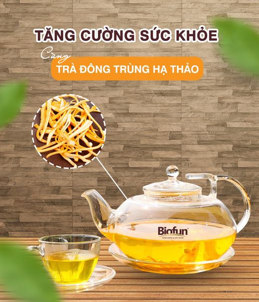 Trà Đông trùng hạ thảo Biofun