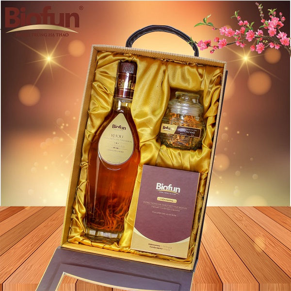 Cẩm Nang Đặt Mua Giỏ Quà Đi Biếu Từ Nấm Trùng Thảo