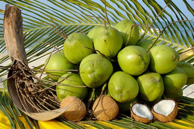 chữa bệnh gout