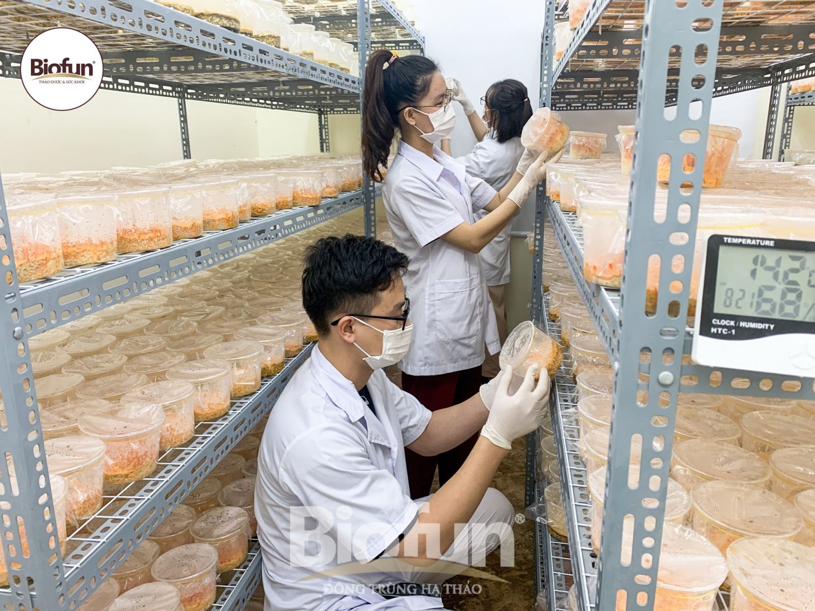 quà tết cho doanh nghiệp 