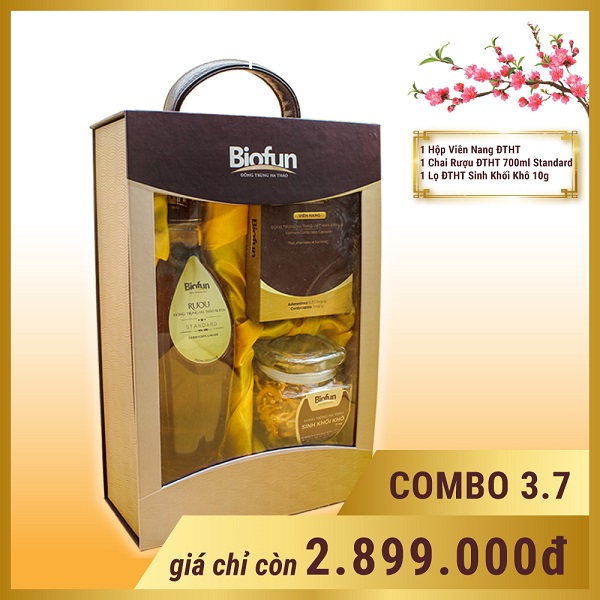Quà Tết Sài Gòn Uy Tín Với Đông Trùng Hạ Thảo Chính Hãng Quà Tết Sài Gòn Uy Tín Với Đông Trùng Hạ Thảo Chính Hãng