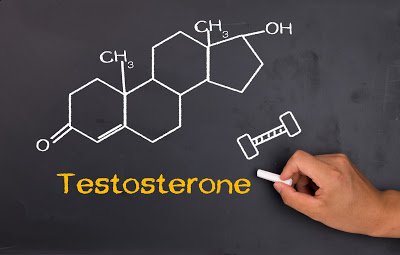 Testosterone