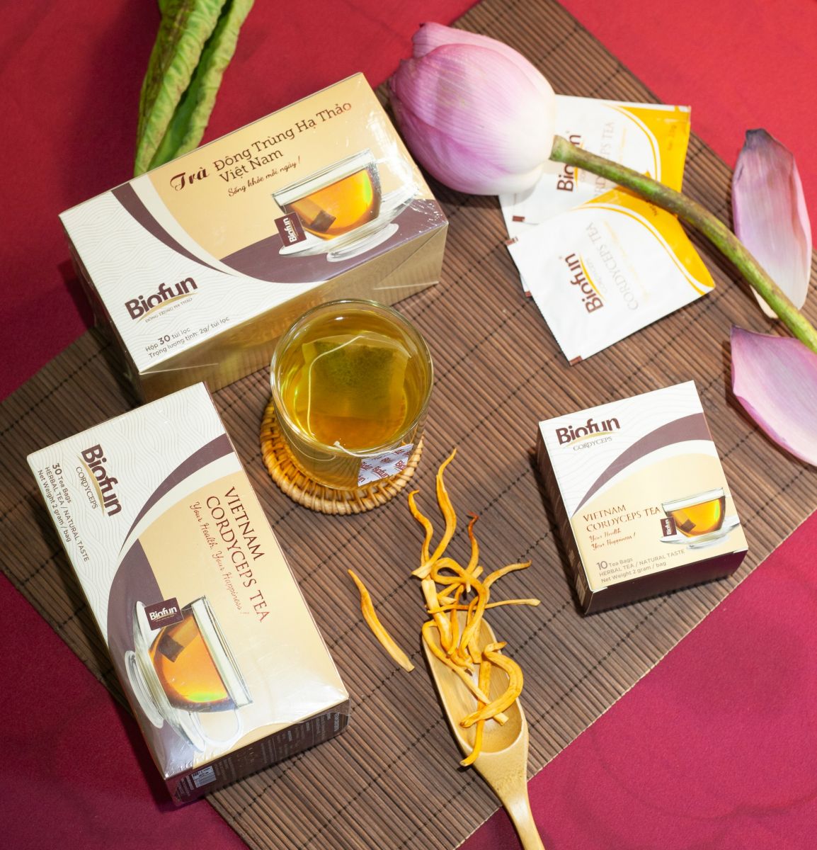 Khám phá Bộ quà tặng Trung thu cao cấp từ Đông trùng hạ thảo Biofun 04