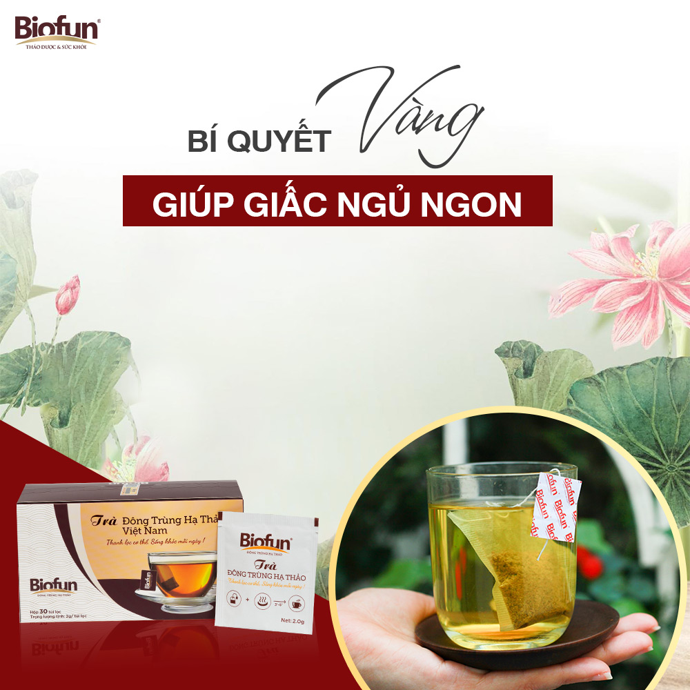 Trà đông trùng hạ thảo - Giải pháp cho giấc ngủ ngon