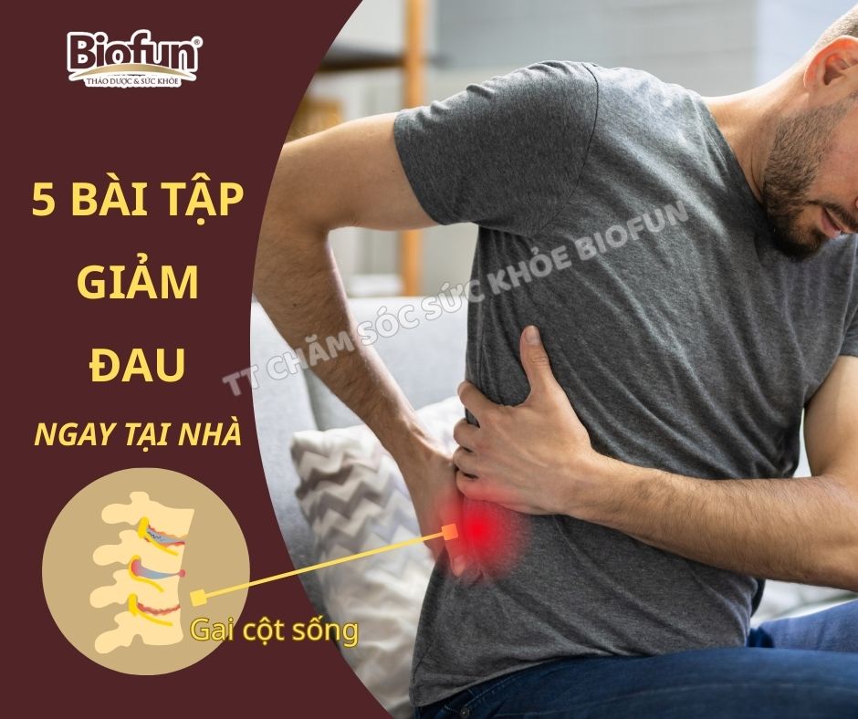 5 Bài Tập Giảm Đau Gai Cột Sống Tại Nhà và Giải Pháp Tự Nhiên Từ Biofun