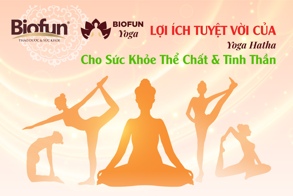  Yoga Hatha Bí Quyết Cho Sức Khỏe Toàn Diện Và Tâm Hồn Bình An