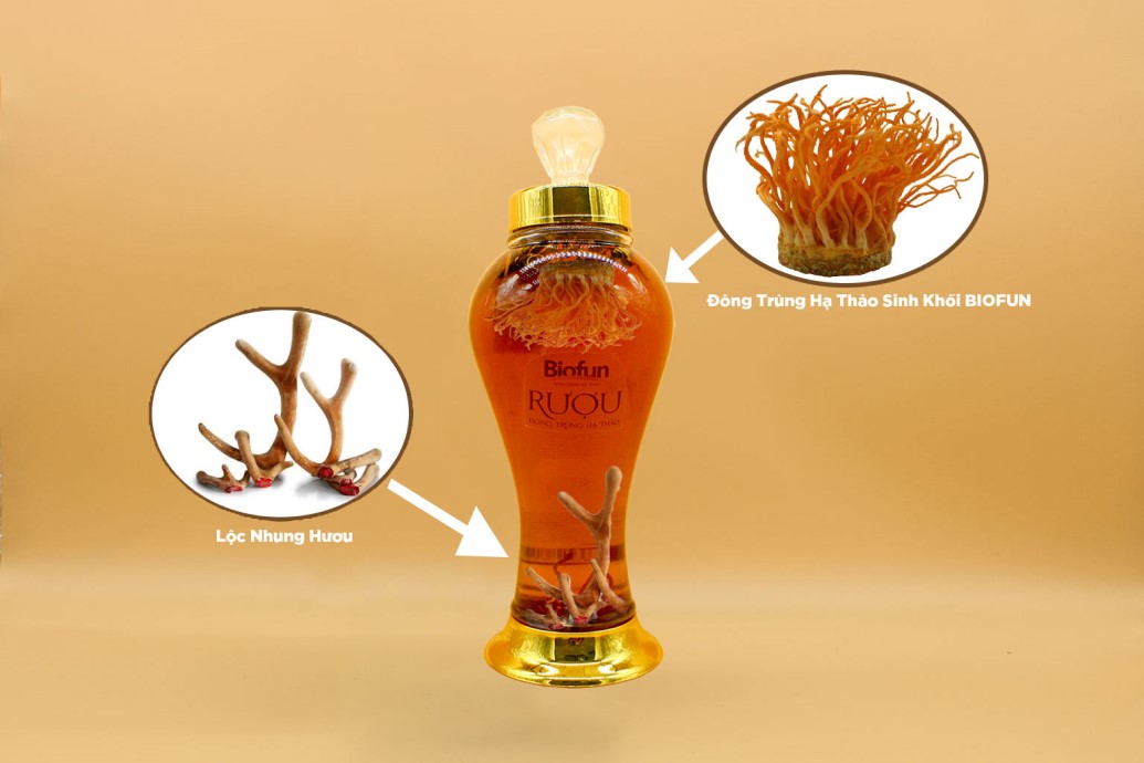 CÁCH NGÂM RƯỢU ĐÔNG TRÙNG HẠ THẢO DÀNH CHO QUÝ ÔNG