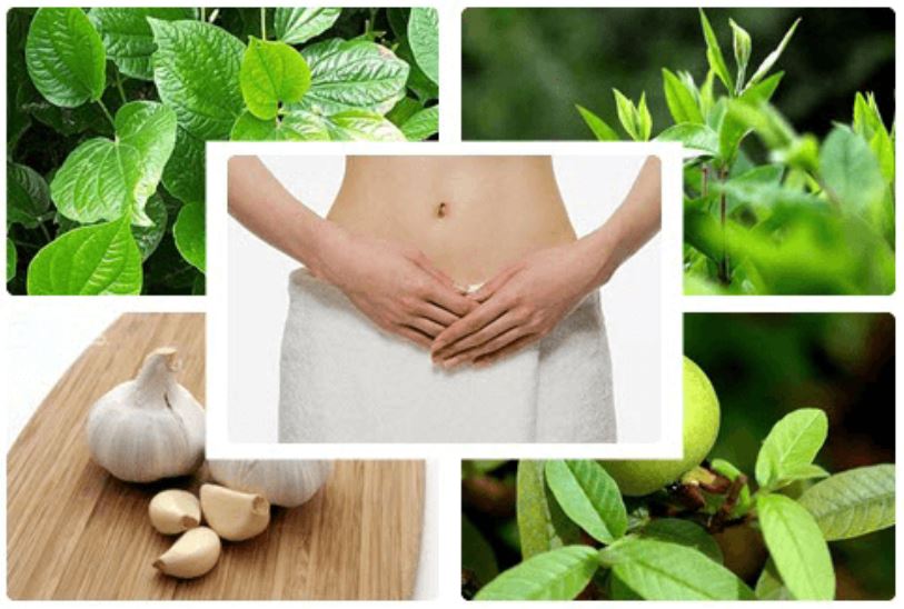Cách Chữa Bệnh Phụ Khoa Tại Nhà An Toàn, Hiệu Quả Nhất