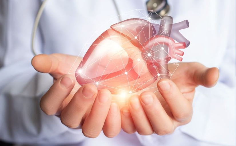 Công Dụng Của Đông Trùng Hạ Thảo Đối Với Bệnh Tim Mạch 