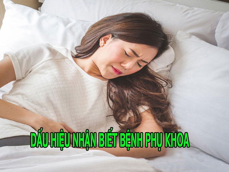 Nguyên Nhân Và Dấu Hiệu Nhận Biết Các Loại Bệnh Phụ Khoa