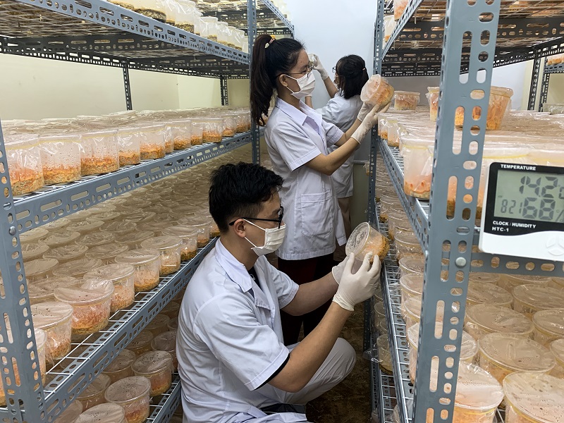 Đông Trùng Hạ Thảo Biofun - Đồng hành cùng hàng triệu gia đình!