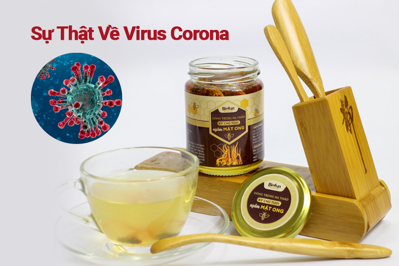 SỰ THẬT VỀ VIRUS CORONA 