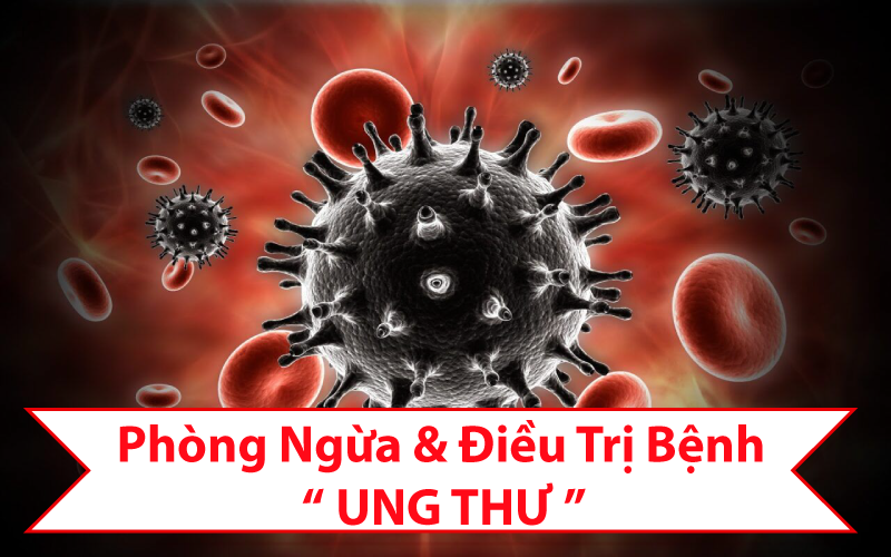 Đông Trùng Hạ Thảo Chữa Bệnh Ung Thư 