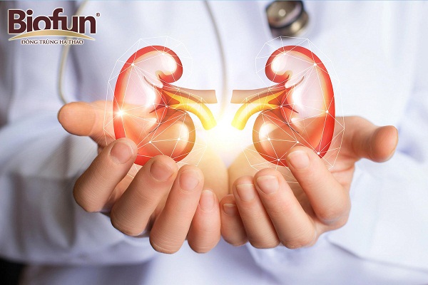 Bệnh thận và những nỗi sợ hãi phía sau là gì