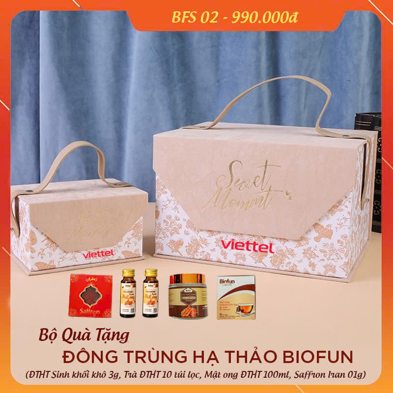 Bộ Quà Tặng Cao Cấp Đông Trùng Hạ Thảo Biofun BFS02