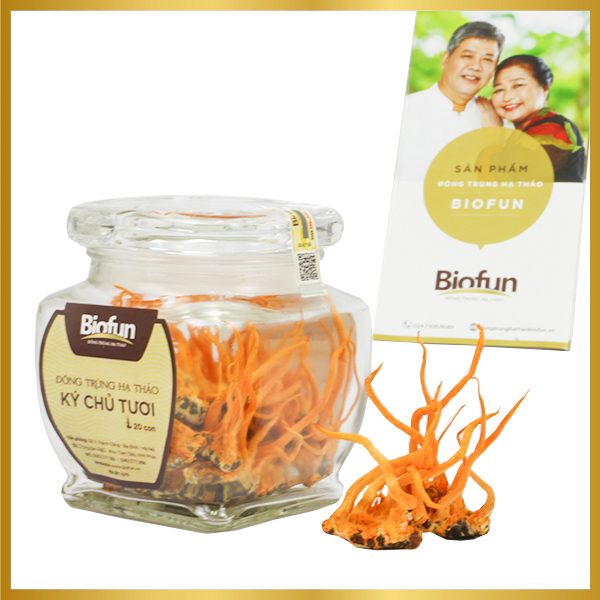 Đông Trùng Hạ thảo Ký chủ tươi lọ 20 con