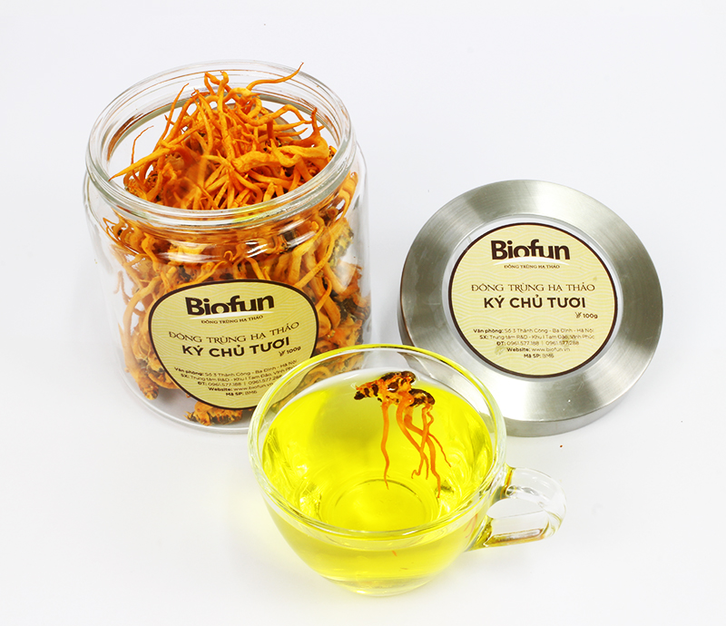 生冬虫夏草（カイコ幼虫）- 100g