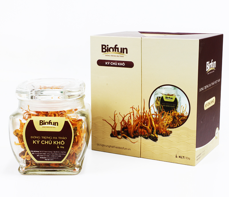 Dried Silkworm Cordyceps