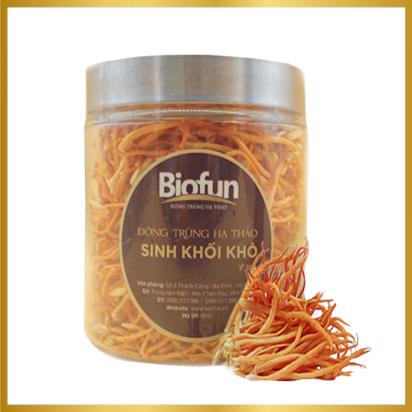 Đông Trùng Hạ Thảo Sinh Khối Khô Lọ 30g