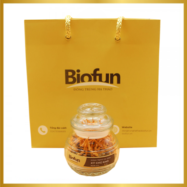 Đông Trùng Hạ Thảo Con Ký Chủ Khô Lọ 7g