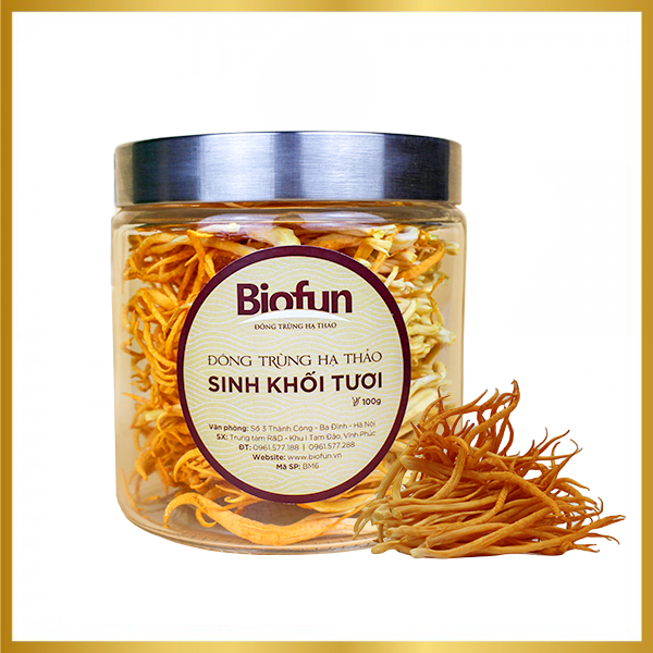 Đông Trùng Hạ Thảo Sinh Khối Tươi Nguyên Sợi Lọ 100g
