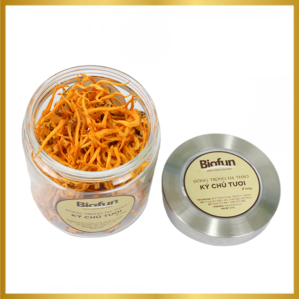 Đông Trùng Hạ thảo Ký Chủ Tươi Lọ 100g