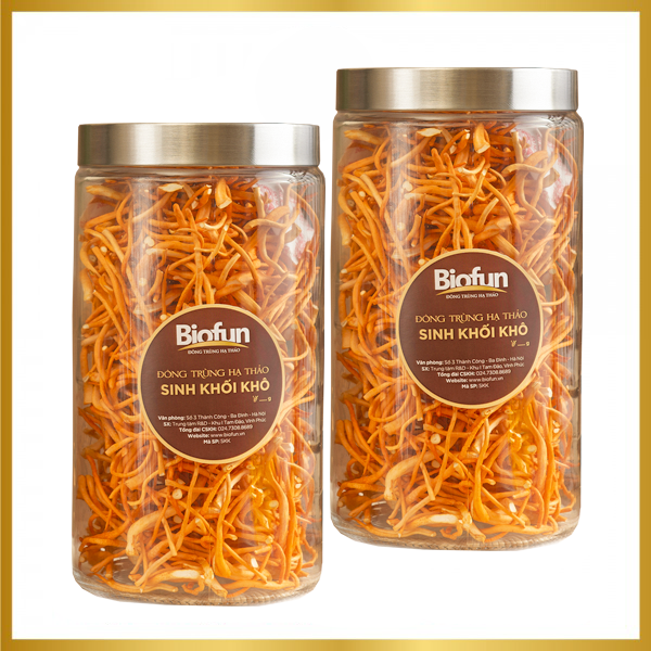 Đông Trùng Hạ Thảo Sinh Khối Khô 100g