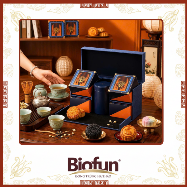 Bách Niên Thưởng Nguyệt - Bách Niên Collection 3
